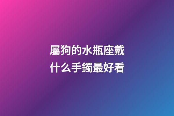 屬狗的水瓶座戴什么手鐲最好看-第1張-星座運勢-玄機派