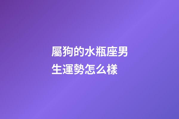 屬狗的水瓶座男生運勢怎么樣-第1張-星座運勢-玄機派