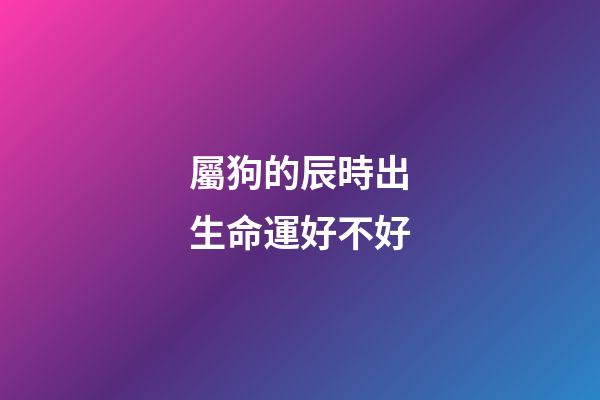 屬狗的辰時出生命運好不好