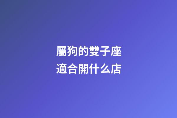 屬狗的雙子座適合開什么店-第1張-星座運勢-玄機派
