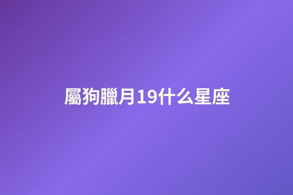 屬狗臘月19什么星座-第1張-星座運勢-玄機派