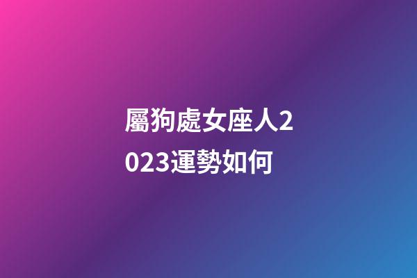 屬狗處女座人2023運勢如何-第1張-星座運勢-玄機派