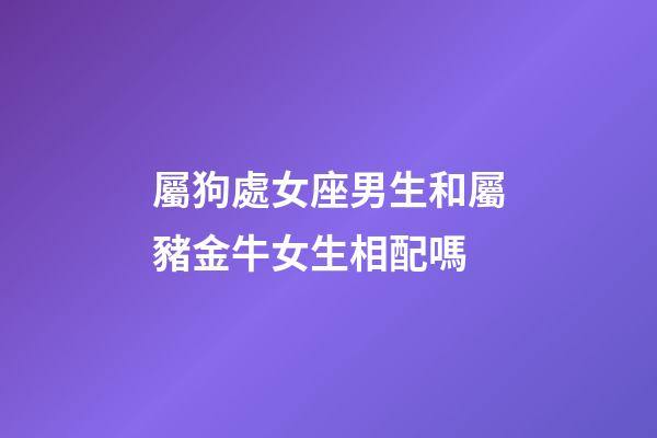 屬狗處女座男生和屬豬金牛女生相配嗎-第1張-星座運勢-玄機派