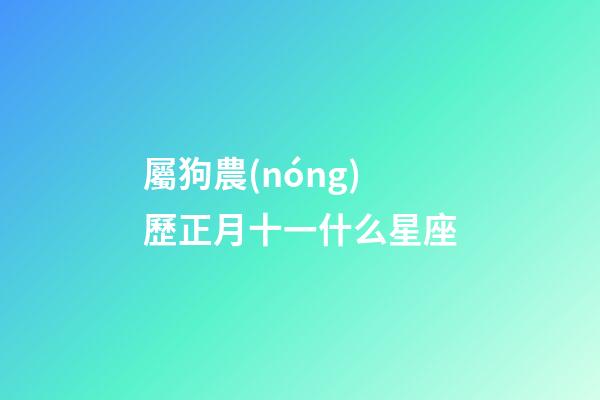 屬狗農(nóng)歷正月十一什么星座