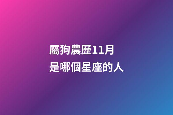 屬狗農歷11月是哪個星座的人-第1張-星座運勢-玄機派
