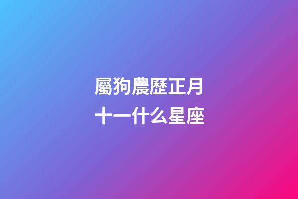 屬狗農歷正月十一什么星座