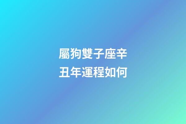 屬狗雙子座辛丑年運程如何-第1張-星座運勢-玄機派