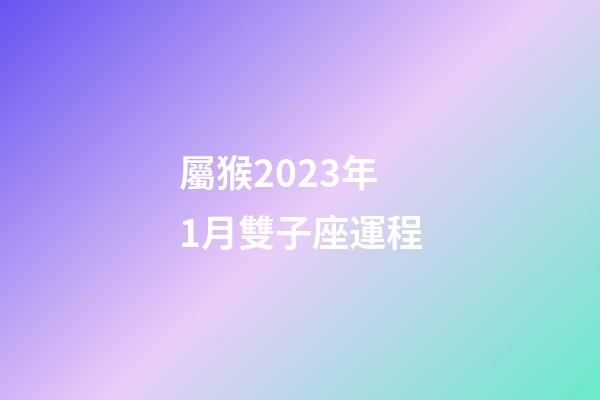 屬猴2023年1月雙子座運程-第1張-星座運勢-玄機派