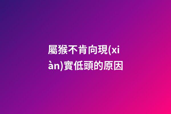 屬猴不肯向現(xiàn)實低頭的原因