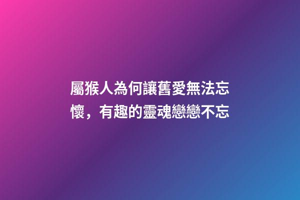 屬猴人為何讓舊愛無法忘懷，有趣的靈魂戀戀不忘