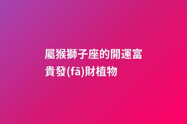 屬猴獅子座的開運富貴發(fā)財植物