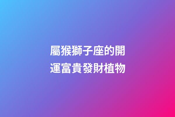 屬猴獅子座的開運富貴發財植物