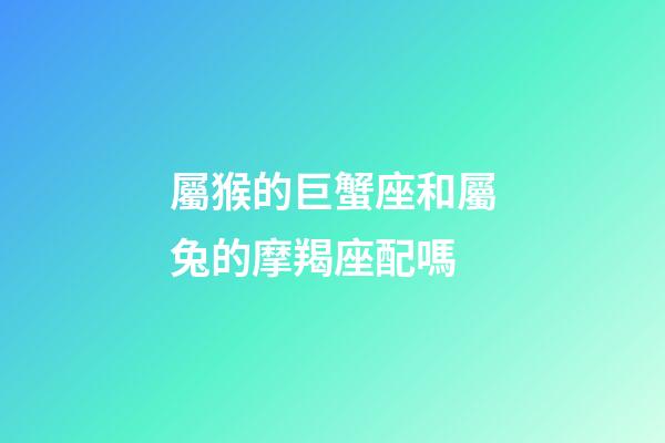 屬猴的巨蟹座和屬兔的摩羯座配嗎-第1張-星座運勢-玄機派