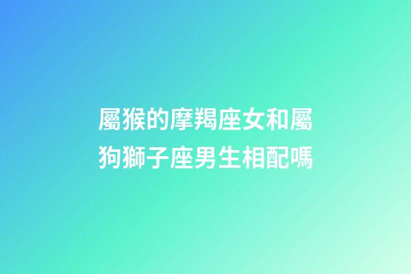 屬猴的摩羯座女和屬狗獅子座男生相配嗎-第1張-星座運勢-玄機派