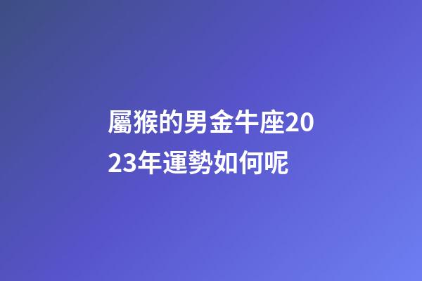 屬猴的男金牛座2023年運勢如何呢-第1張-星座運勢-玄機派