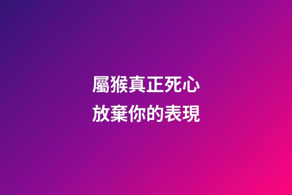 屬猴真正死心放棄你的表現