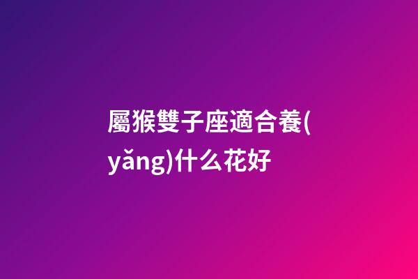 屬猴雙子座適合養(yǎng)什么花好