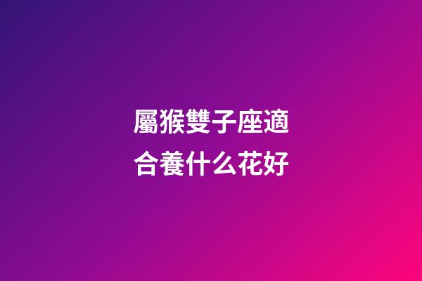 屬猴雙子座適合養什么花好-第1張-星座運勢-玄機派