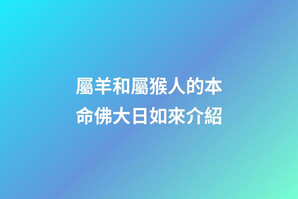 屬羊和屬猴人的本命佛大日如來介紹