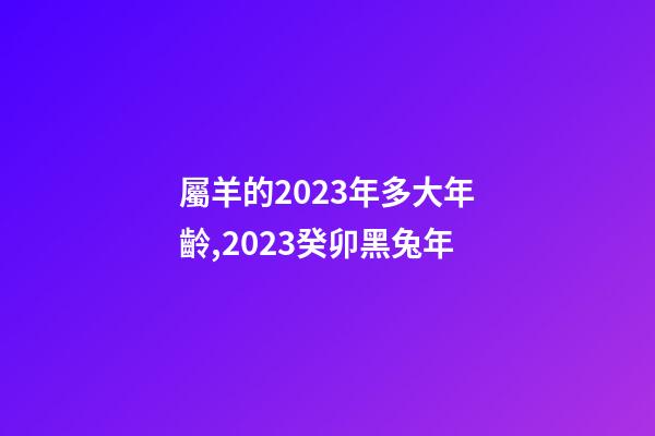 屬羊的2023年多大年齡,2023癸卯黑兔年-第1張-觀點-玄機派