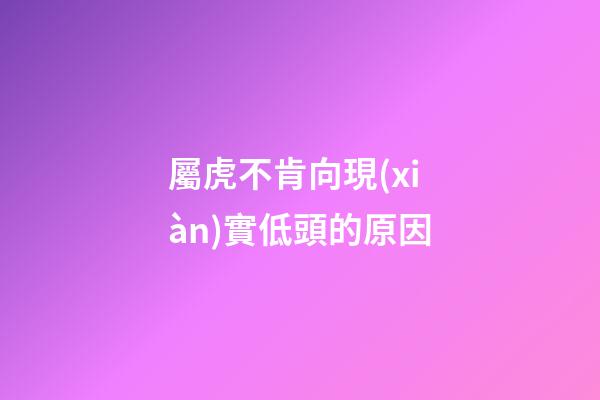 屬虎不肯向現(xiàn)實低頭的原因