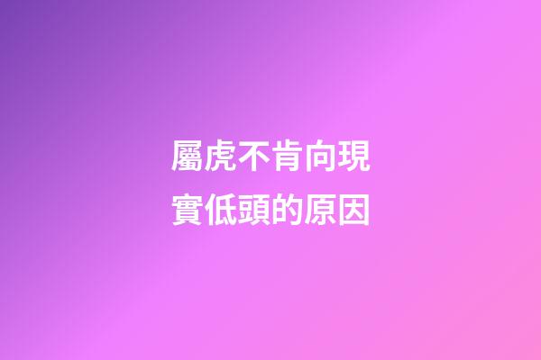 屬虎不肯向現實低頭的原因