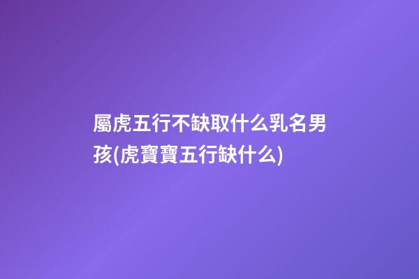 屬虎五行不缺取什么乳名男孩(虎寶寶五行缺什么)