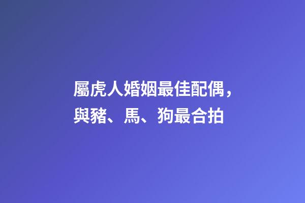 屬虎人婚姻最佳配偶，與豬、馬、狗最合拍