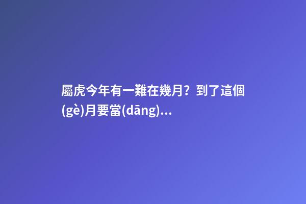 屬虎今年有一難在幾月？到了這個(gè)月要當(dāng)心