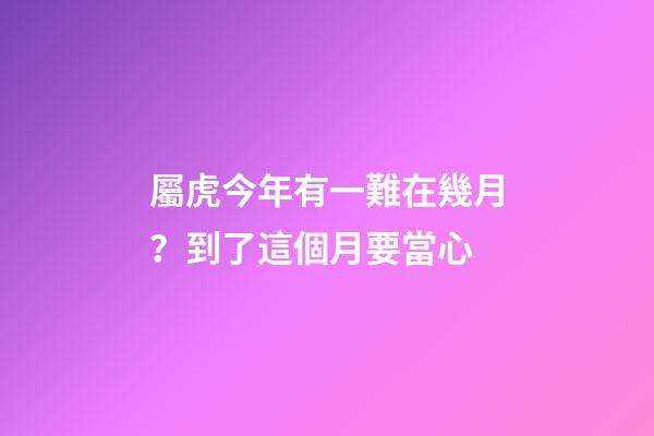 屬虎今年有一難在幾月？到了這個月要當心
