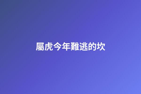 屬虎今年難逃的坎