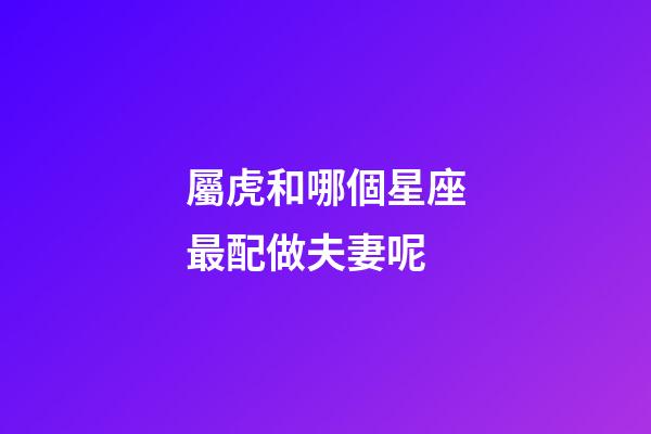 屬虎和哪個星座最配做夫妻呢-第1張-星座運勢-玄機派
