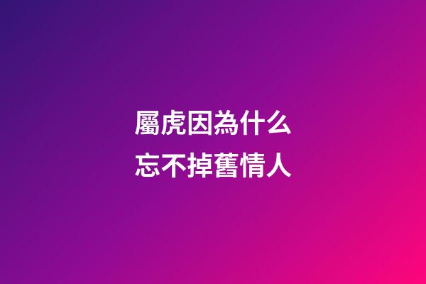 屬虎因為什么忘不掉舊情人