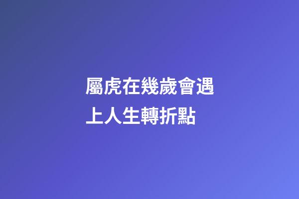 屬虎在幾歲會遇上人生轉折點