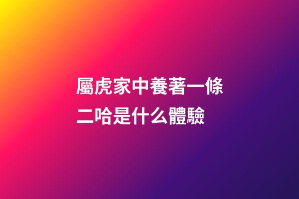 屬虎家中養著一條二哈是什么體驗