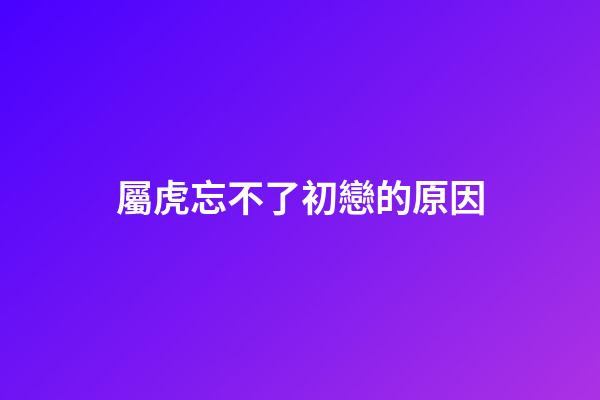 屬虎忘不了初戀的原因