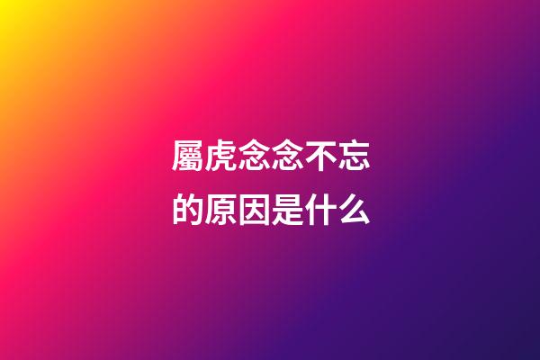 屬虎念念不忘的原因是什么