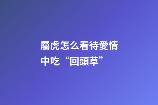 屬虎怎么看待愛情中吃“回頭草”