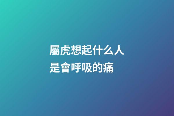 屬虎想起什么人是會呼吸的痛