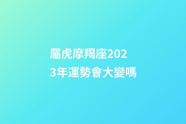 屬虎摩羯座2023年運勢會大變嗎
