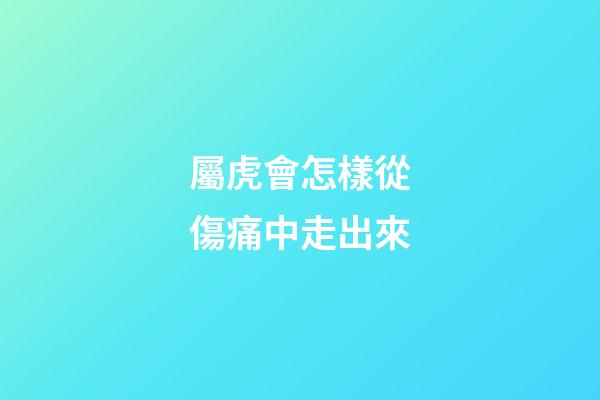 屬虎會怎樣從傷痛中走出來
