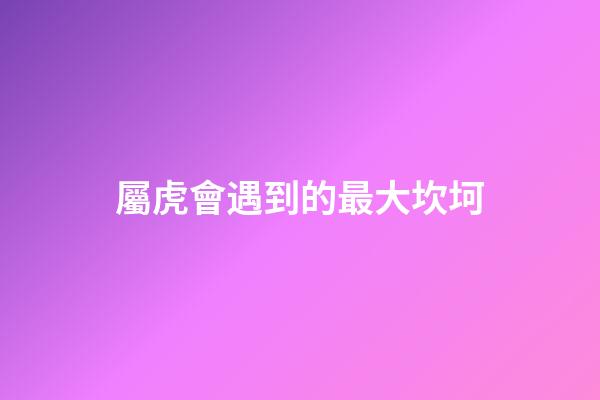 屬虎會遇到的最大坎坷