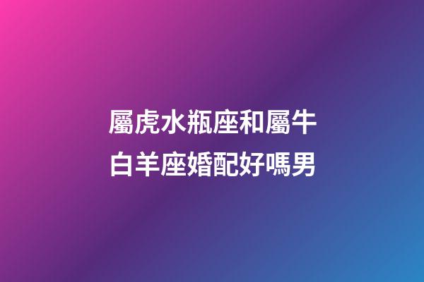 屬虎水瓶座和屬牛白羊座婚配好嗎男-第1張-星座運勢-玄機派