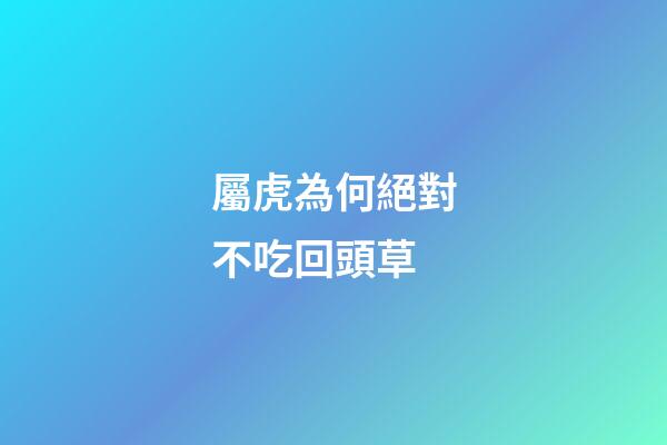 屬虎為何絕對不吃回頭草