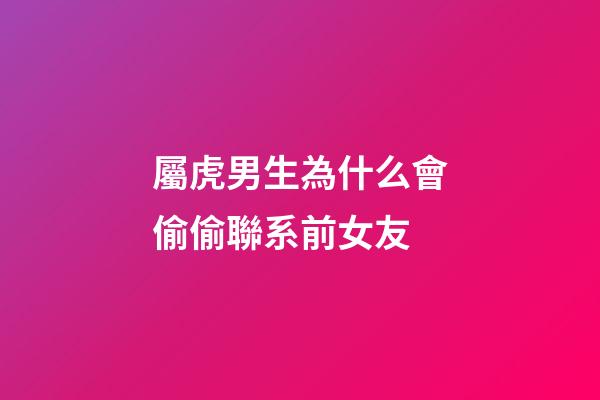 屬虎男生為什么會偷偷聯系前女友