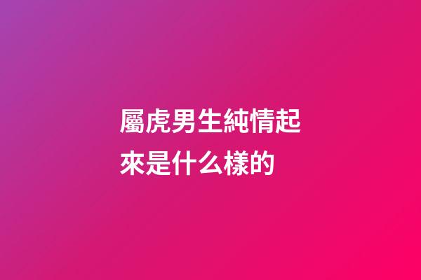 屬虎男生純情起來是什么樣的