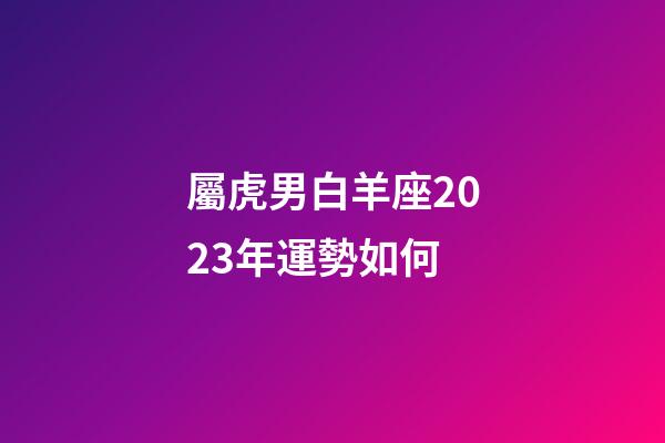 屬虎男白羊座2023年運勢如何-第1張-星座運勢-玄機派