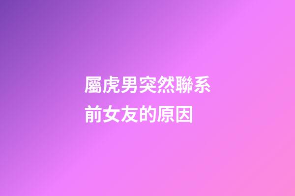 屬虎男突然聯系前女友的原因