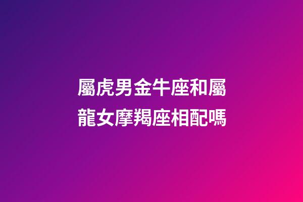 屬虎男金牛座和屬龍女摩羯座相配嗎-第1張-星座運勢-玄機派