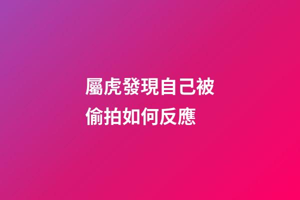 屬虎發現自己被偷拍如何反應